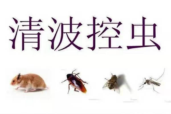 1589189744126359.jpg 多推网.jpg