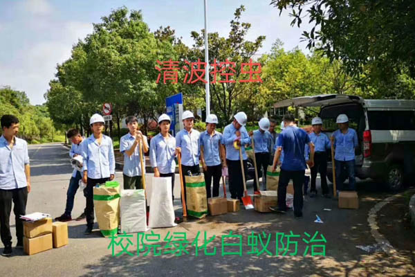 1589190053356797.jpg 03.jpg