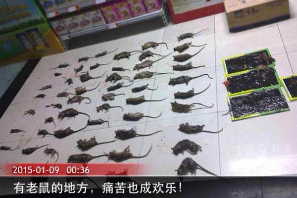 1589190077991395.jpg 04.jpg