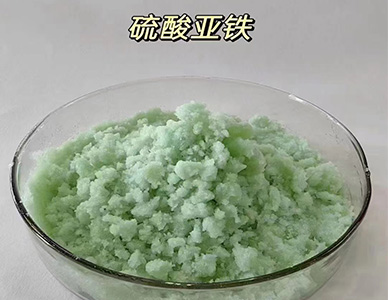 1767493113201365.jpg 16.jpg