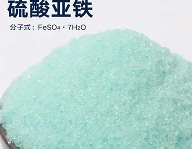 1767493116678613.jpg 18.jpg