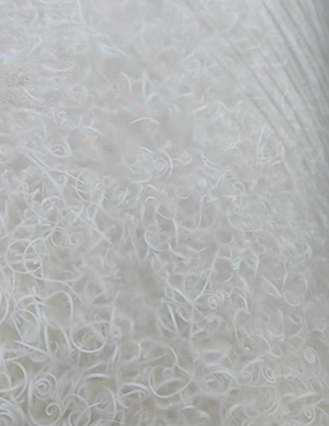 1767512270313160.jpg ABS.jpg