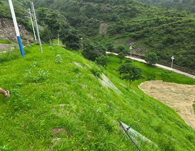 1769500495445516.jpg 11.jpg