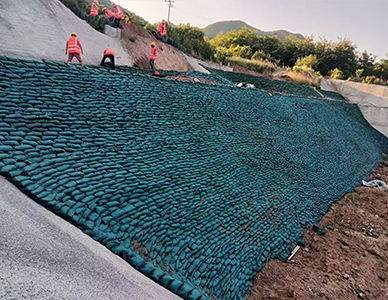 1769500533777819.jpg 工程 (5).jpg