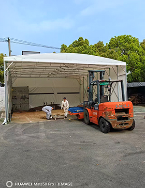 1769501074254527.jpg 6.jpg