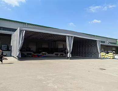 1769501102590298.jpg 11.jpg