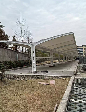 1769501236795334.jpg 13.jpg