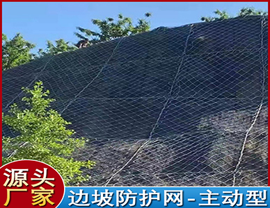 1773640628599658.jpg 7.jpg