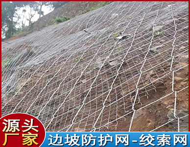 1773640632475045.jpg 8.jpg