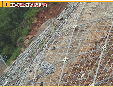 1773640894838759.jpg 12.jpg