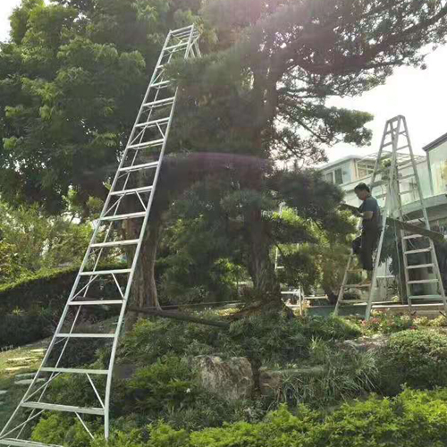 1588646577182503.jpg 771e9c83c31a58f188480aa450ce5340_48104891-3bd5-4aaf-bcdb-8fea68d0216f.jpg